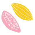 choco fruit