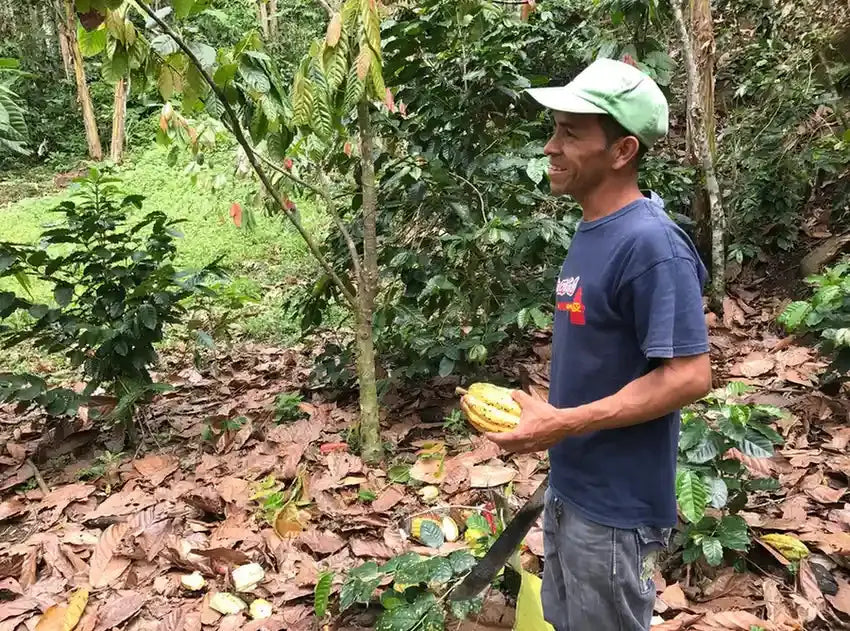 Our Origins: Nicaragua